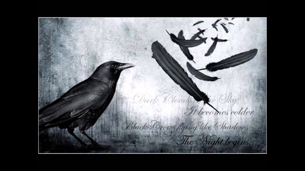 Cuantos Libros Escribio Edgar Allan Poe